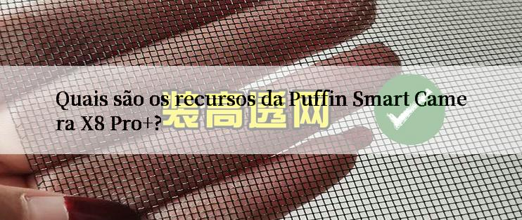 Quais são os recursos da Puffin Smart Camera X8 Pro+?