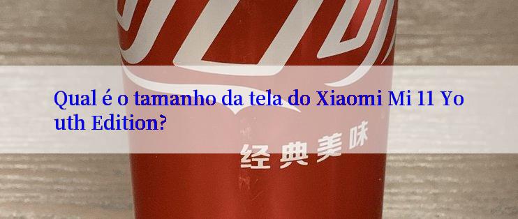 Qual é o tamanho da tela do Xiaomi Mi 11 Youth Edition?