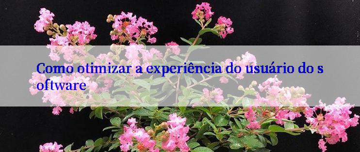 Como otimizar a experiência do usuário do software