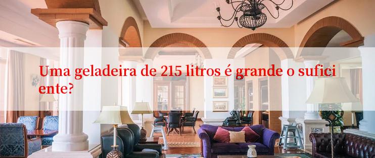 Uma geladeira de 215 litros é grande o suficiente?