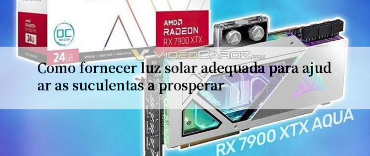 Como fornecer luz solar adequada para ajudar as suculentas a prosperar