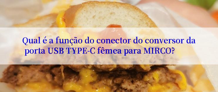 Qual é a função do conector do conversor da porta USB TYPE-C fêmea para MIRCO?