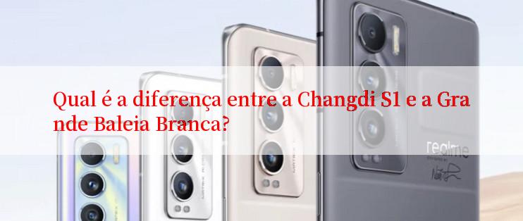 Qual é a diferença entre a Changdi S1 e a Grande Baleia Branca?