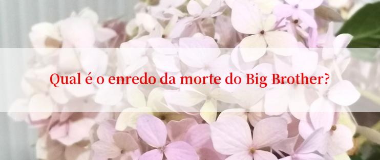 Qual é o enredo da morte do Big Brother?