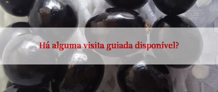 Há alguma visita guiada disponível?