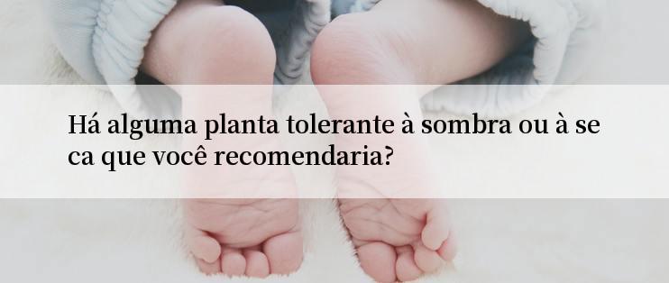 Há alguma planta tolerante à sombra ou à seca que você recomendaria?