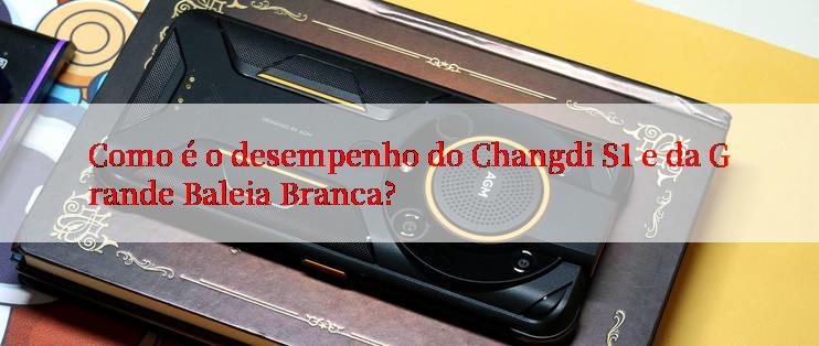 Como é o desempenho do Changdi S1 e da Grande Baleia Branca?