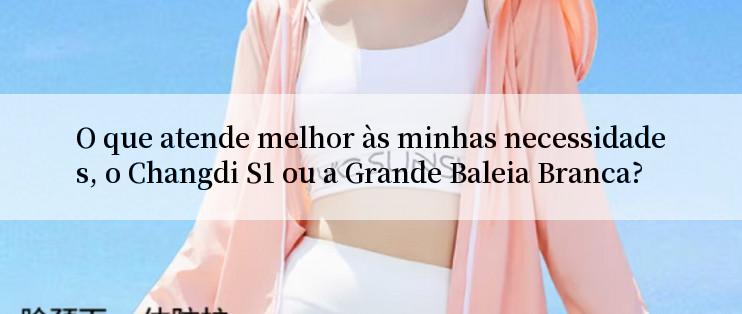 O que atende melhor às minhas necessidades, o Changdi S1 ou a Grande Baleia Branca?