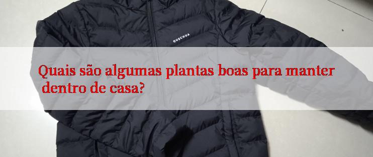 Quais são algumas plantas boas para manter dentro de casa?