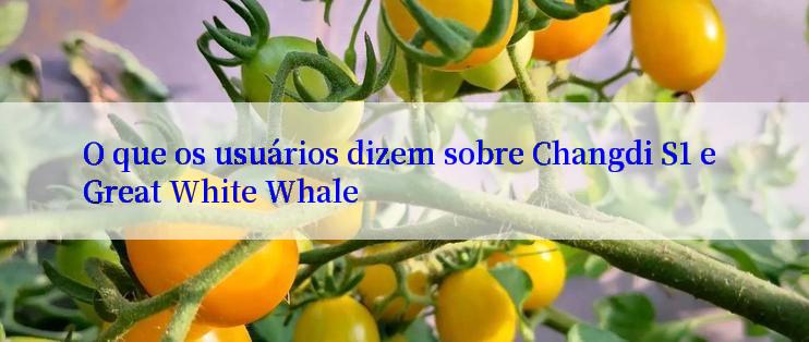 O que os usuários dizem sobre Changdi S1 e Great White Whale