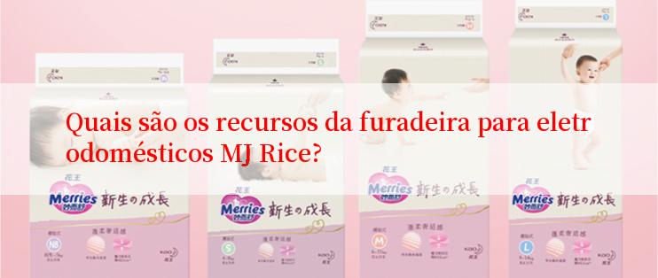 Quais são os recursos da furadeira para eletrodomésticos MJ Rice?