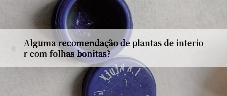 Alguma recomendação de plantas de interior com folhas bonitas?