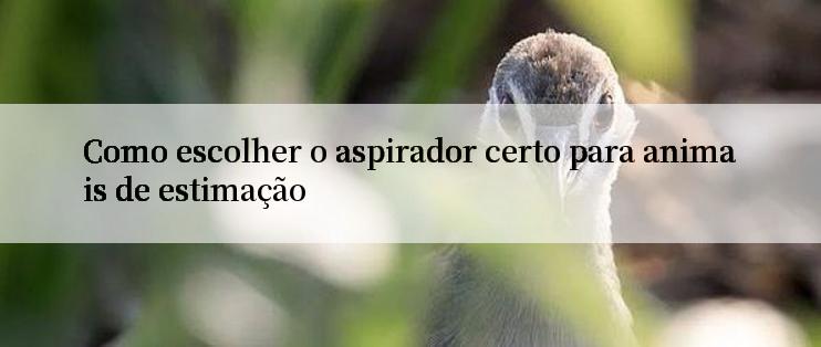 Como escolher o aspirador certo para animais de estimação