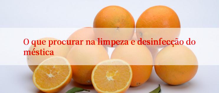 O que procurar na limpeza e desinfecção doméstica