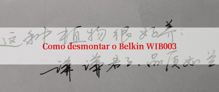 Como desmontar o Belkin WIB003