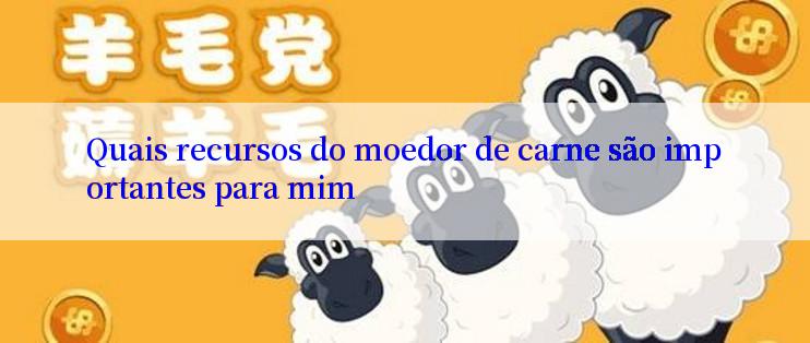 Quais recursos do moedor de carne são importantes para mim