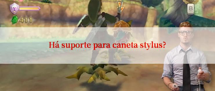 Há suporte para caneta stylus?